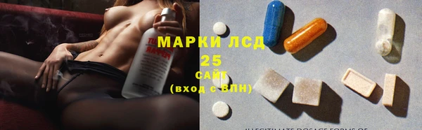 гашик Гусев