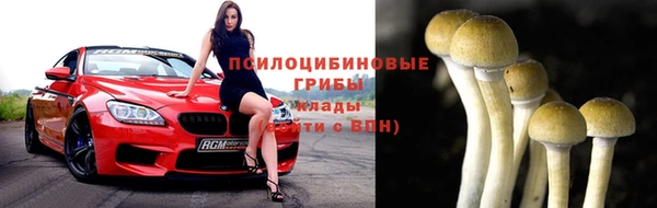 mix Гусь-Хрустальный