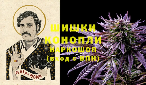 гашик Гусев