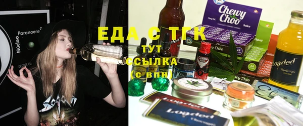 гашик Гусев