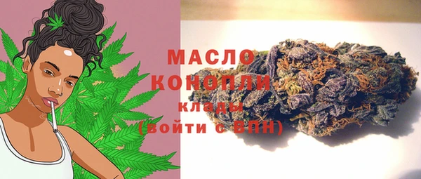 гашик Гусев