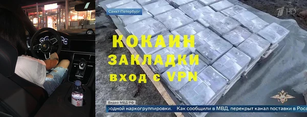 гашик Гусев
