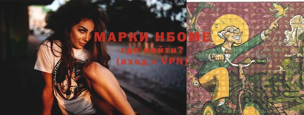 гашик Гусев