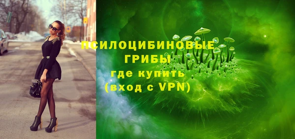 mix Гусь-Хрустальный